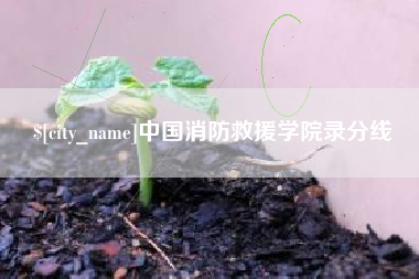 周口中国消防救援学院录分线