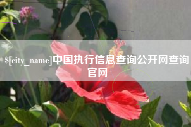 周口中国执行信息查询公开网查询官网