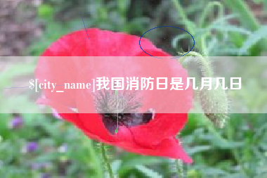 周口我国消防日是几月几日