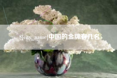 周口中国的金牌有几名
