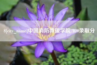 周口中国消防救援学院2020录取分