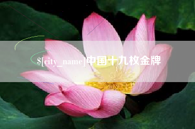 周口中国十九枚金牌