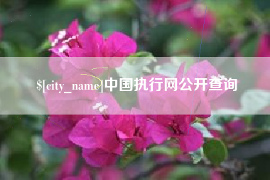 周口中国执行网公开查询