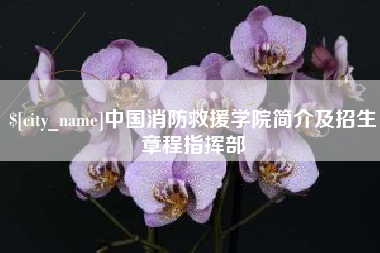 周口中国消防救援学院简介及招生章程指挥部