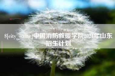 周口中国消防救援学院2021年山东招生计划