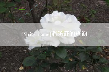 周口消防证的查询