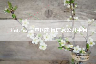周口中国执行信息公开平台