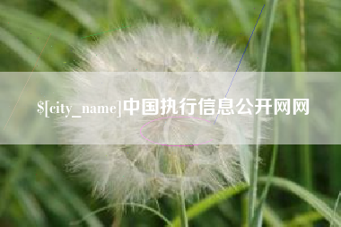 周口中国执行信息公开网网