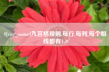 周口九宫格规则,每行,每列,每个粗线都有1-9