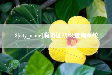 周口消防证初级查询系统