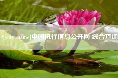 周口中国执行信息公开网 综合查询