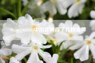 周口中国金牌得了几枚金牌