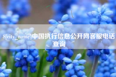 周口中国执行信息公开网客服电话查询