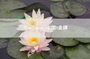 周口中国9金牌