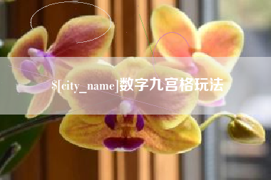 周口数字九宫格玩法