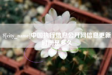 周口中国执行信息公开网信息更新时间是多久