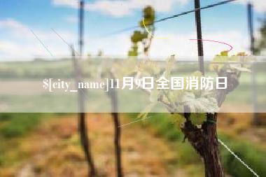 周口11月9日全国消防日
