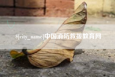 周口中国消防救援教育网