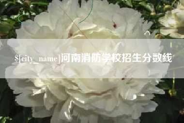 周口河南消防学校招生分数线