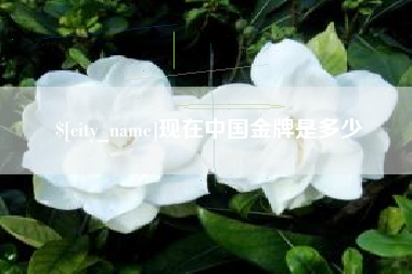 周口现在中国金牌是多少