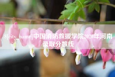 周口中国消防救援学院2020年河南录取分数线