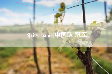 周口中国队 冠军