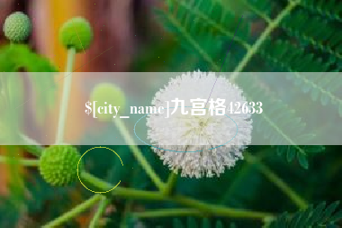 周口九宫格42633