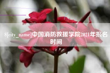 周口中国消防救援学院2021年报名时间