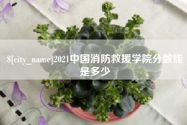 周口2021中国消防救援学院分数线是多少
