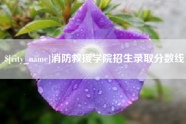 周口消防救援学院招生录取分数线