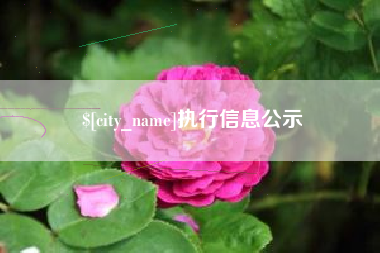 周口执行信息公示