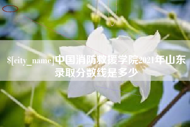 周口中国消防救援学院2021年山东录取分数线是多少
