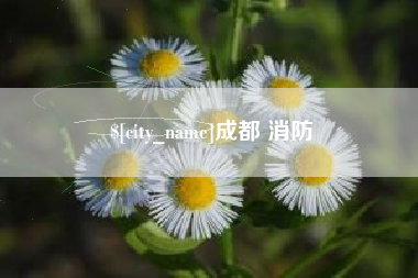 周口成都 消防