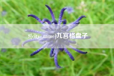 周口九宫格盘子