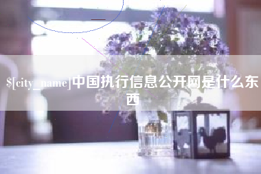 周口中国执行信息公开网是什么东西