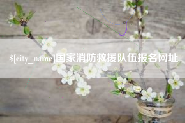 周口国家消防救援队伍报名网址