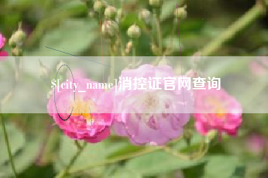 周口消控证官网查询