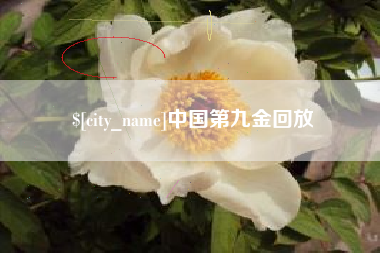 周口中国第九金回放