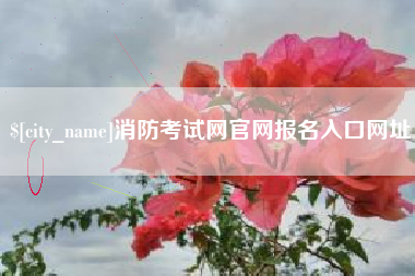 周口消防考试网官网报名入口网址