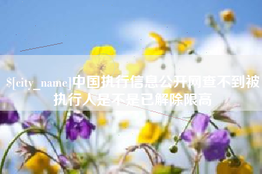 周口中国执行信息公开网查不到被执行人是不是已解除限高