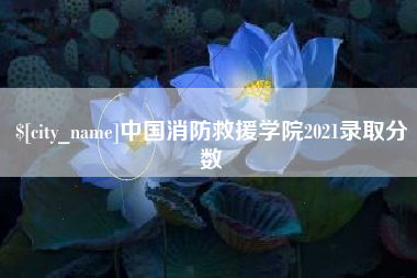 周口中国消防救援学院2021录取分数