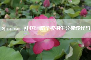 周口中国消防学校招生分数线代码