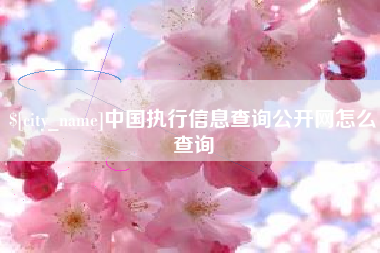 周口中国执行信息查询公开网怎么查询