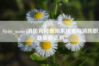 周口消防官网查询系统查询消防职业资格证书