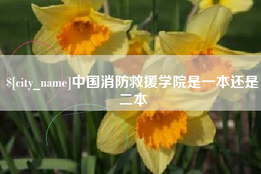 周口中国消防救援学院是一本还是二本