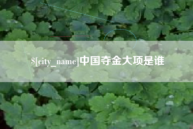 周口中国夺金大项是谁