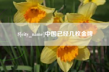 周口中国已经几枚金牌