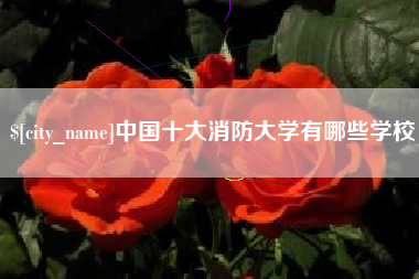 周口中国十大消防大学有哪些学校