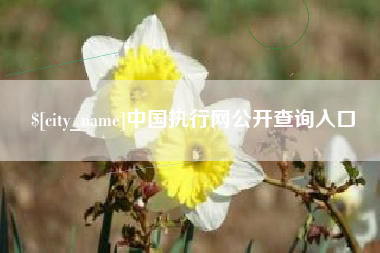 周口中国执行网公开查询入口