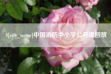 周口中国消防中小学公开课回放